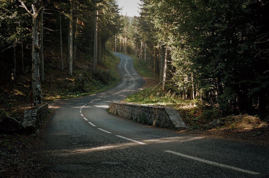 Ardèche, route qui sillonne au milieu des bois de sapins, elle traverse un petit pont aux garde-fous en pierres, entre ombre et lumière